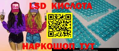 прущие грибы Донской