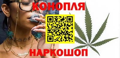 гидропоника Дубна